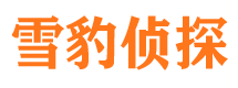 汉阳小三调查